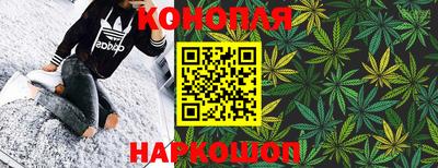 гидра Краснознаменск
