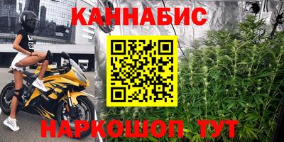 гидра Краснознаменск
