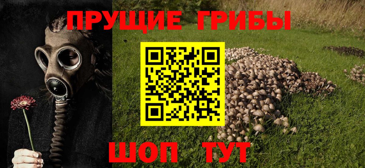 закладка  Вход с VPN  Ирбит  Псилоцибиновые грибы мухоморы 